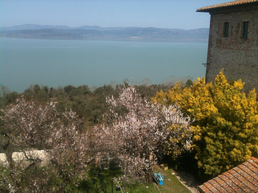Ascanio
